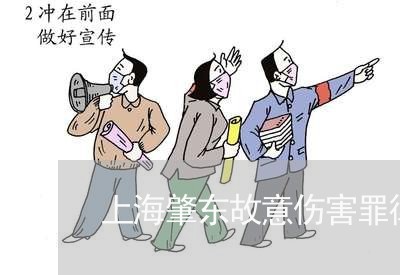 上海肇东故意伤害罪律师排名/2023032371684
