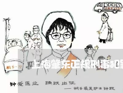 上海肇东正规刑事犯罪辩护律师/2023042024148