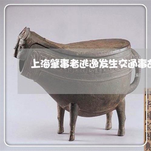 上海肇事者逃逸发生交通事故/2023032361816 上海肇事者逃逸发生交通事故/2023032361816