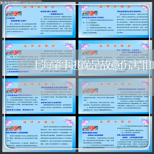 上海肇事逃逸是故意伤害罪吗/2023032310594 上海肇事逃逸是故意伤害罪吗/2023032310594