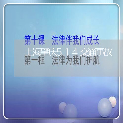 上海肇庆514交通事故/2023021778481 上海肇庆514交通事故/2023021778481