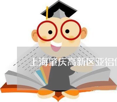 上海肇庆高新区亚铝债权债务/2023032370105