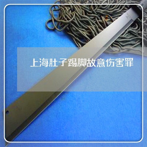 上海肚子踢脚故意伤害罪/2023021652714 上海肚子踢脚故意伤害罪/2023021652714