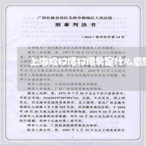上海股权债权债务是什么意思/2023032339373