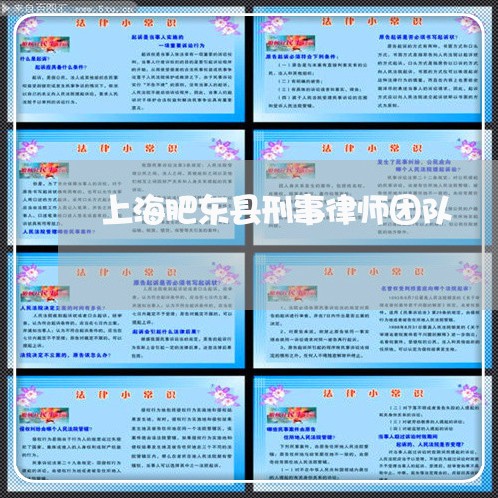 上海肥东县刑事律师团队/2023021629383 上海肥东县刑事律师团队/2023021629383