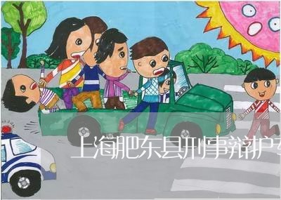 上海肥东县刑事辩护专业律师/2023032317956