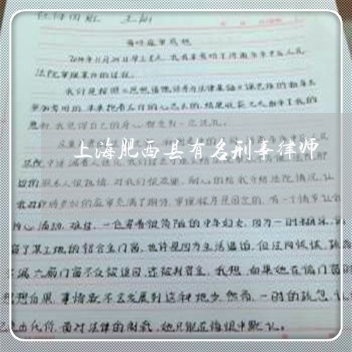 上海肥西县有名刑事律师/2023041118305