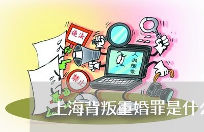 上海背叛重婚罪是什么意思/2023032050925