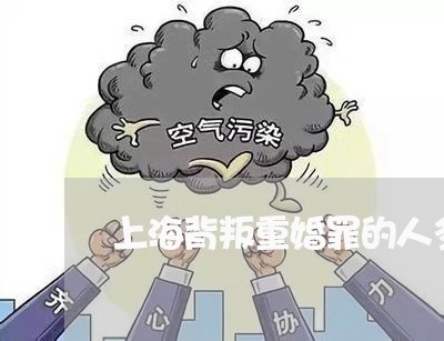 上海背叛重婚罪的人多吗/2023041115028