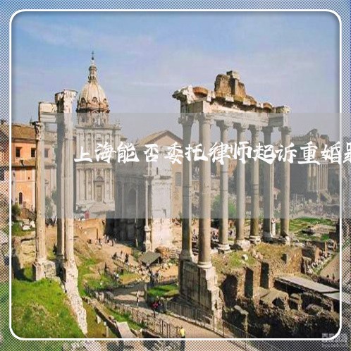 上海能否委托律师起诉重婚罪/2023032349482
