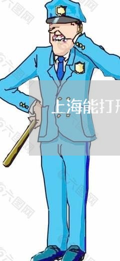 上海能打刑事案件的律师事务所/2023042078460