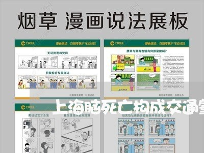 上海脑死亡构成交通肇事罪吗/2023032304835 上海脑死亡构成交通肇事罪吗/2023032304835
