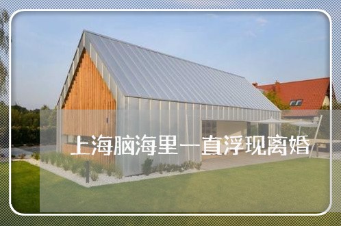 上海脑海里一直浮现离婚/2023021738361 上海脑海里一直浮现离婚/2023021738361