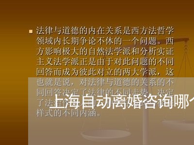 上海自动离婚咨询哪个好/2023041146461