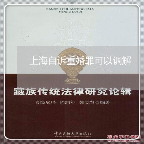 上海自诉重婚罪可以调解/2023041293604