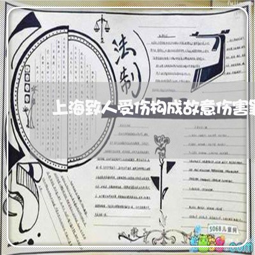 上海致人受伤构成故意伤害罪/2023032360493
