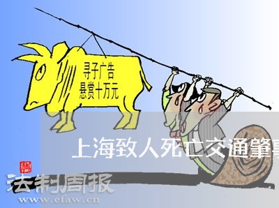 上海致人死亡交通肇事罪/2023021765937