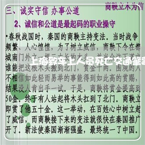 上海致车上人员死亡交通肇事/2023032329248