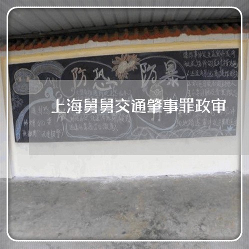 上海舅舅交通肇事罪政审/2023021740501 上海舅舅交通肇事罪政审/2023021740501