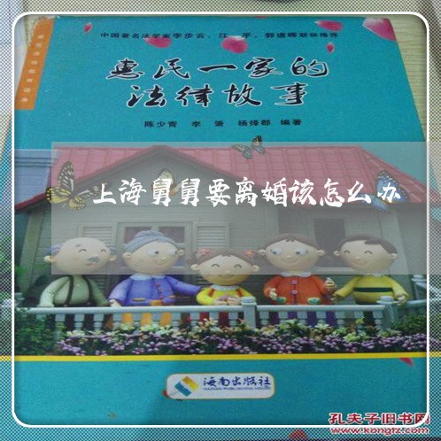 上海舅舅要离婚该怎么办/2023021783947 上海舅舅要离婚该怎么办/2023021783947