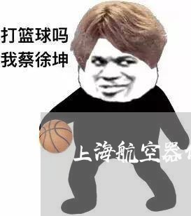 上海航空器债权债务的优先权/2023032360603 上海航空器债权债务的优先权/2023032360603