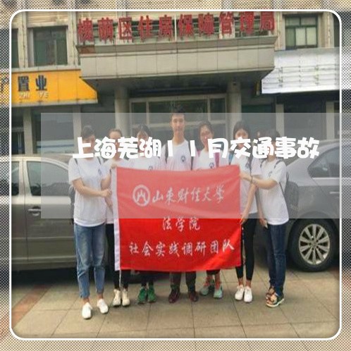 上海芜湖11月交通事故/2023021687261 上海芜湖11月交通事故/2023021687261
