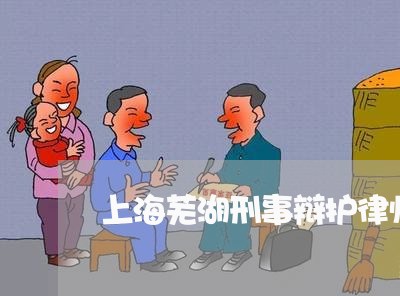 上海芜湖刑事辩护律师辩护/2023032025826