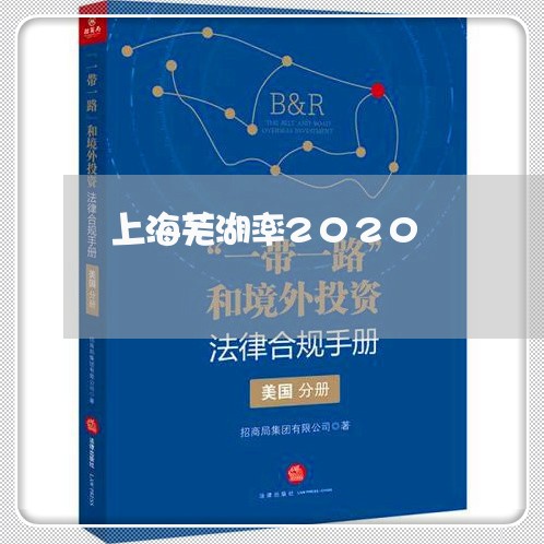 上海芜湖率2020/2023021659603