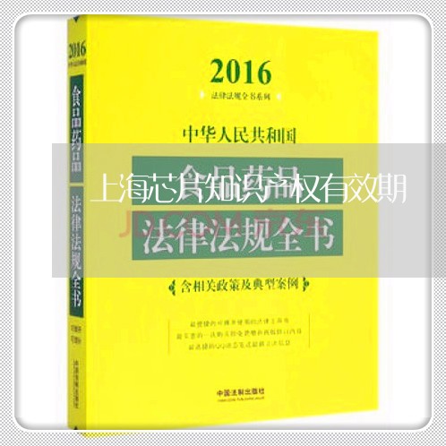 上海芯片知识产权有效期/2023021781725 上海芯片知识产权有效期/2023021781725