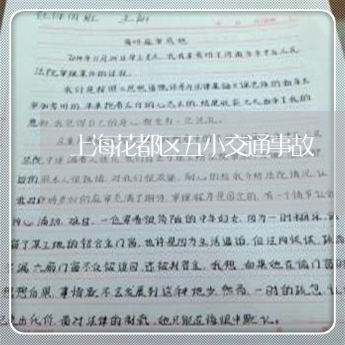 上海花都区五小交通事故/2023021715259 上海花都区五小交通事故/2023021715259