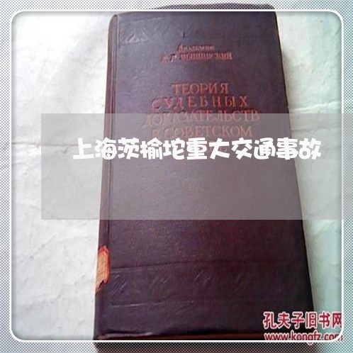 上海茨榆坨重大交通事故/2023041156146