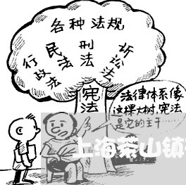上海茶山镇刑事辩护律师/2023021651682