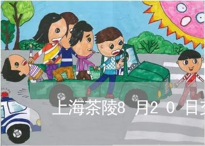 上海茶陵8月20日交通事故/2023032347260 上海茶陵8月20日交通事故/2023032347260