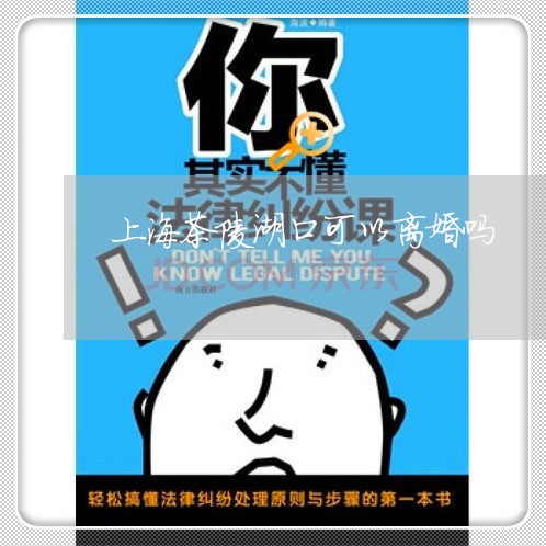 上海茶陵湖口可以离婚吗/2023021695835 上海茶陵湖口可以离婚吗/2023021695835
