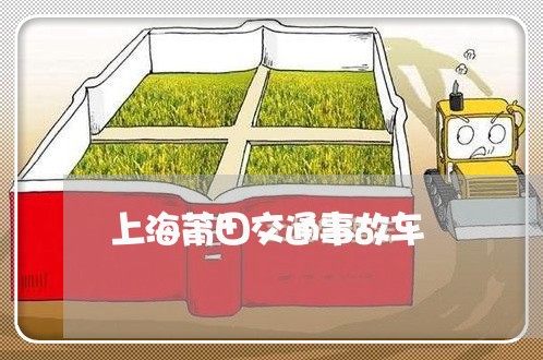 上海莆田交通事故车/2023032515826