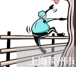 上海莱州市刑事方面哪个律师好/2023042160406