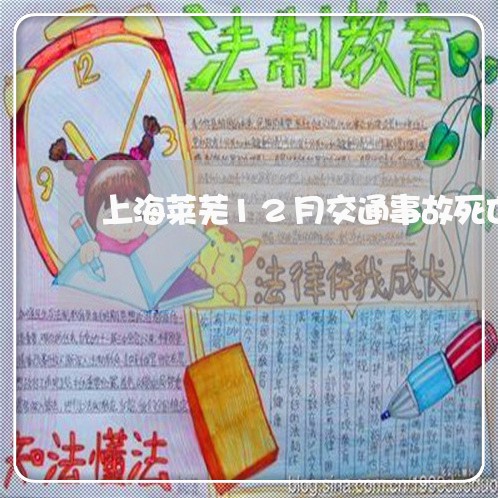 上海莱芜12月交通事故死亡/2023032393848 上海莱芜12月交通事故死亡/2023032393848
