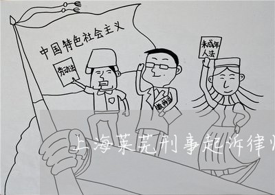 上海莱芜刑事起诉律师哪里找/2023032384706