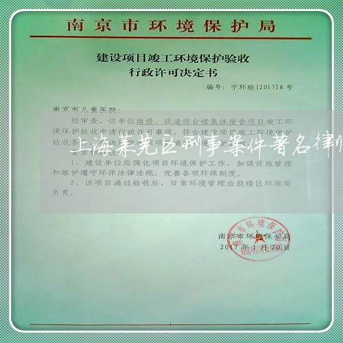 上海莱芜区刑事案件著名律师/2023032374928
