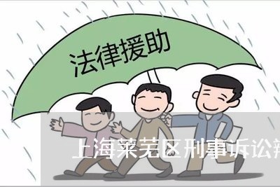上海莱芜区刑事诉讼辩护律师/2023032383917