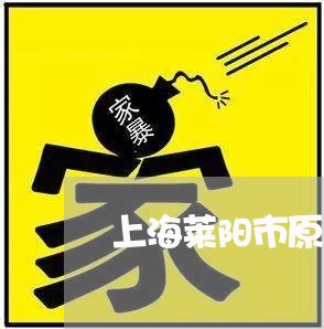 上海莱阳市原告刑事律师/2023021728372