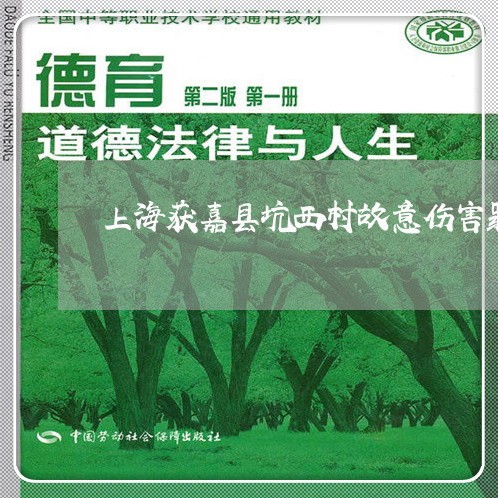 上海获嘉县坑西村故意伤害罪/2023032327281