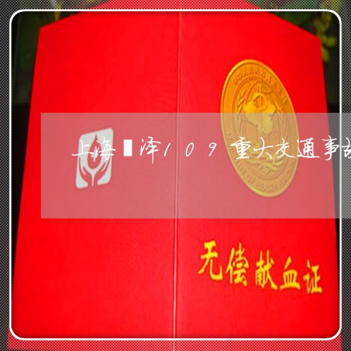 上海菏泽109重大交通事故/2023032372494 上海菏泽109重大交通事故/2023032372494