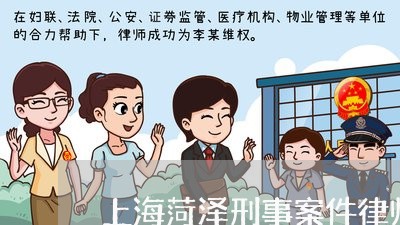 上海菏泽刑事案件律师找谁好/2023032331584