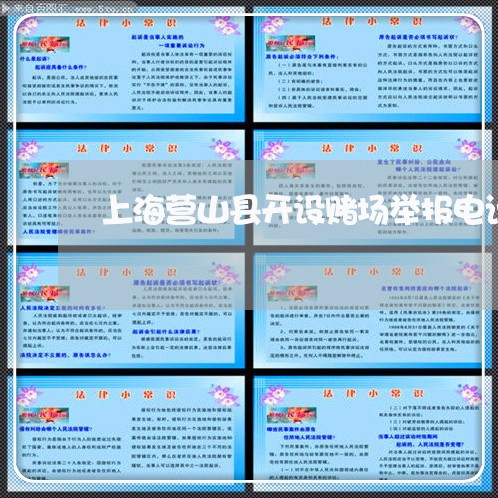 上海营山县开设赌场举报电话/2023032341472 上海营山县开设赌场举报电话/2023032341472