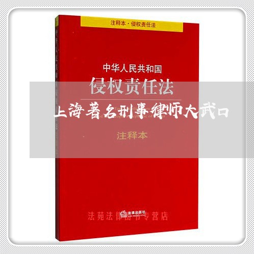 上海著名刑事律师大武口/2023041115149 上海著名刑事律师大武口/2023041115149