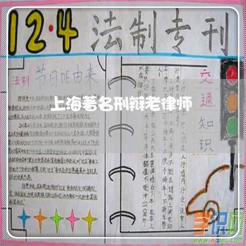 上海著名刑辩老律师/2023032505817