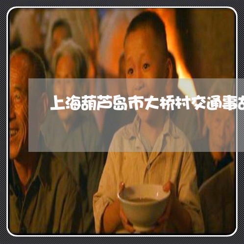 上海葫芦岛市大桥村交通事故/2023032275929 上海葫芦岛市大桥村交通事故/2023032275929