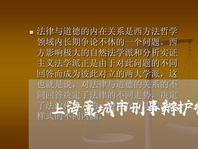 上海藁城市刑事辩护律师/2023041167593