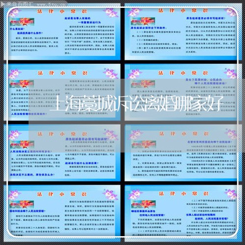 上海藁城诉讼离婚哪家好/2023021635828 上海藁城诉讼离婚哪家好/2023021635828